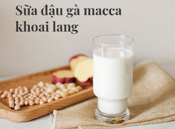 Cách làm sữa hạt - sữa thực vật thơm ngon